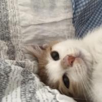지야93
